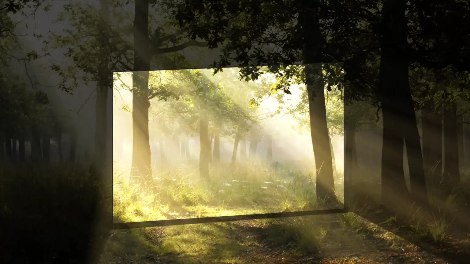 FPO-HDR-1536×864 FPO-HDR