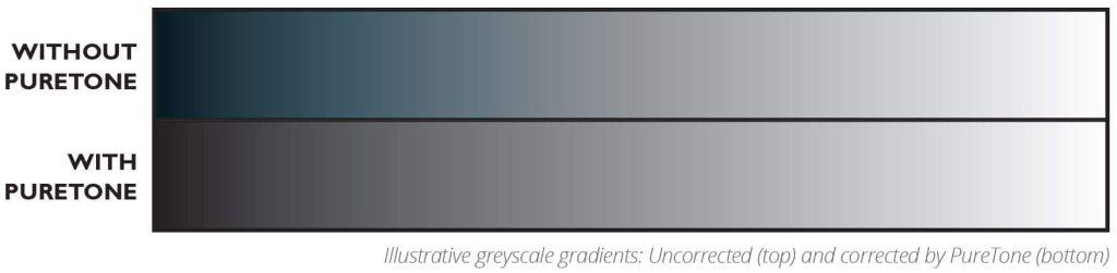 puretonegradients