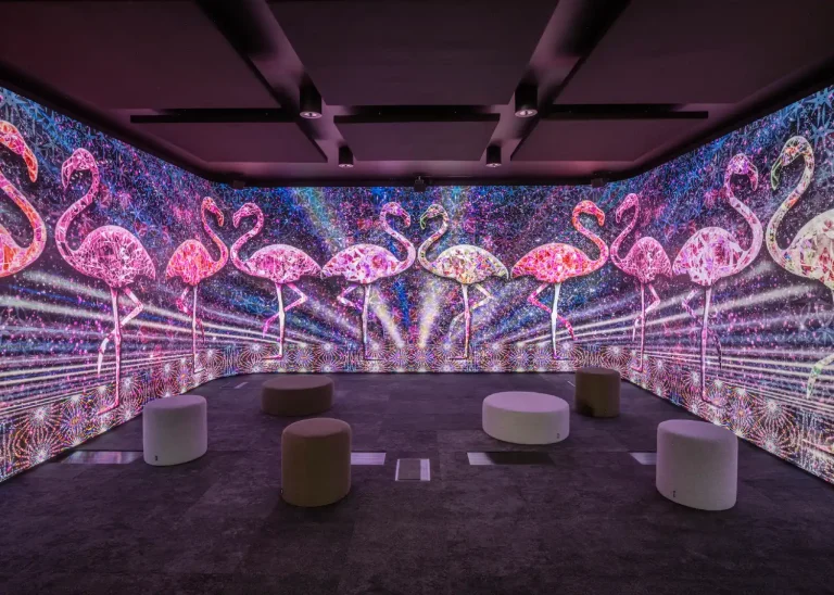 Immersive led room