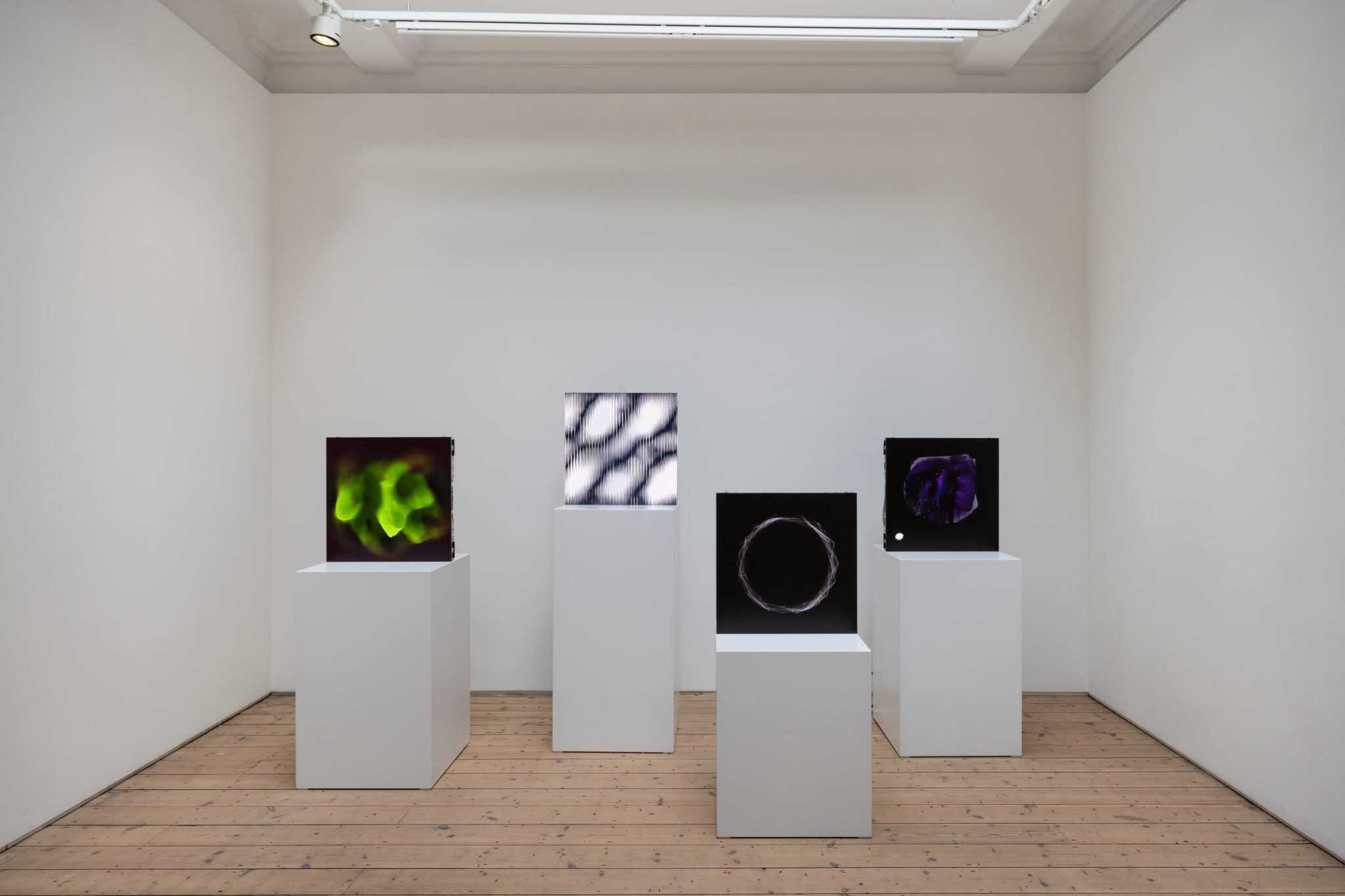 Nft Led Botto NFT Art Exhibition: Fine Pitch LED Install | Dynamo