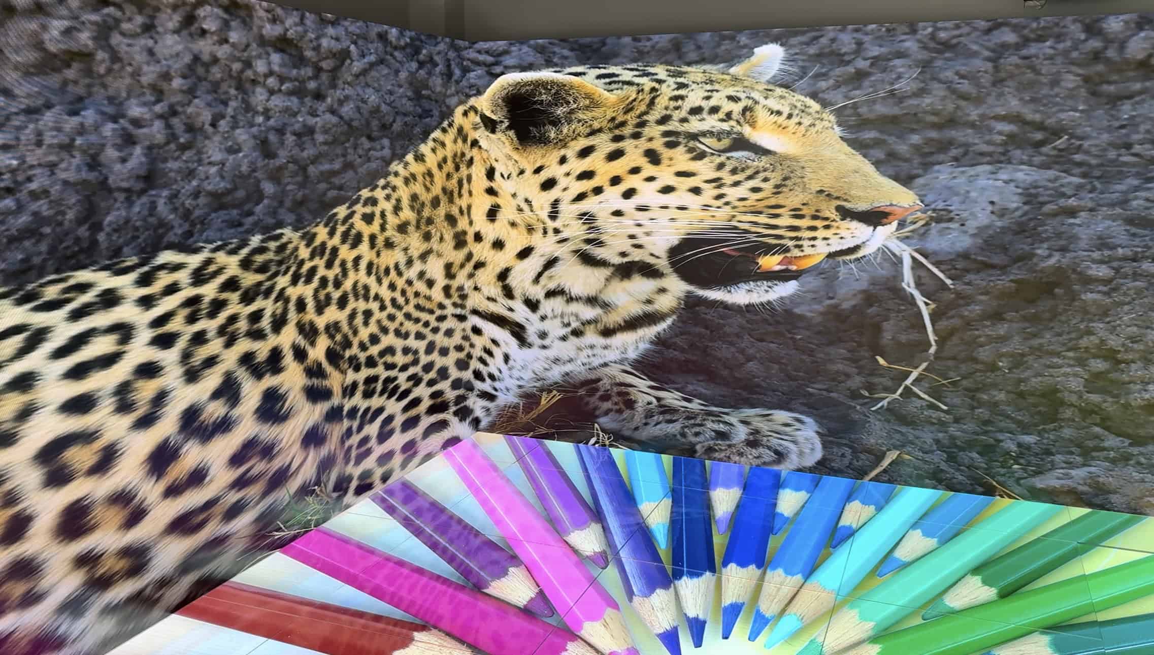 Wildlife content on the wraparound 1.9 mm LED walls with a coloured-pencil test image on the LED floor at Brook Sixth Form's XR studio