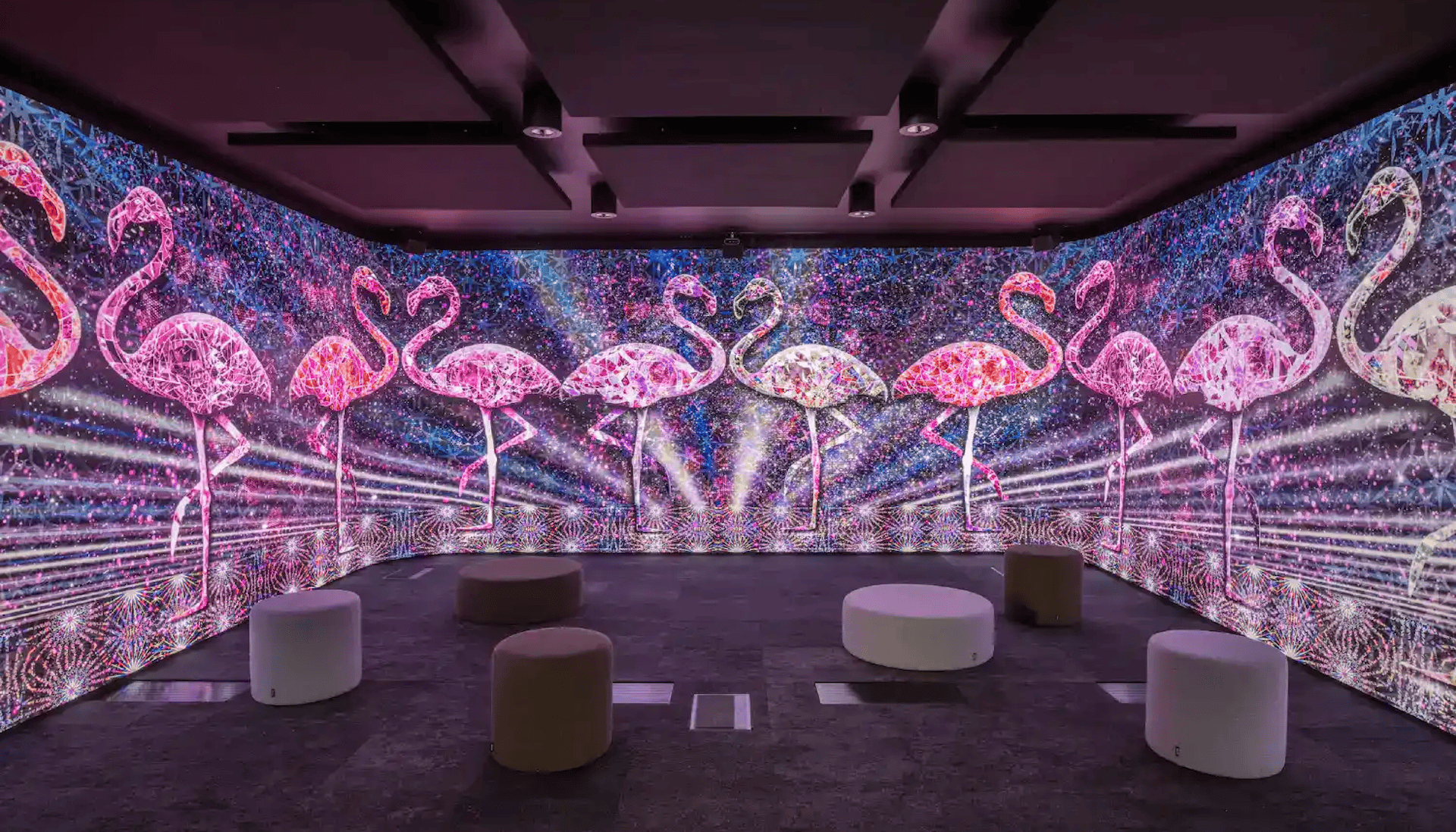 Immersive LED room at the Pixel Artworks Lighthouse featuring fine-pitch LED walls for mixed-reality and interactive experiences