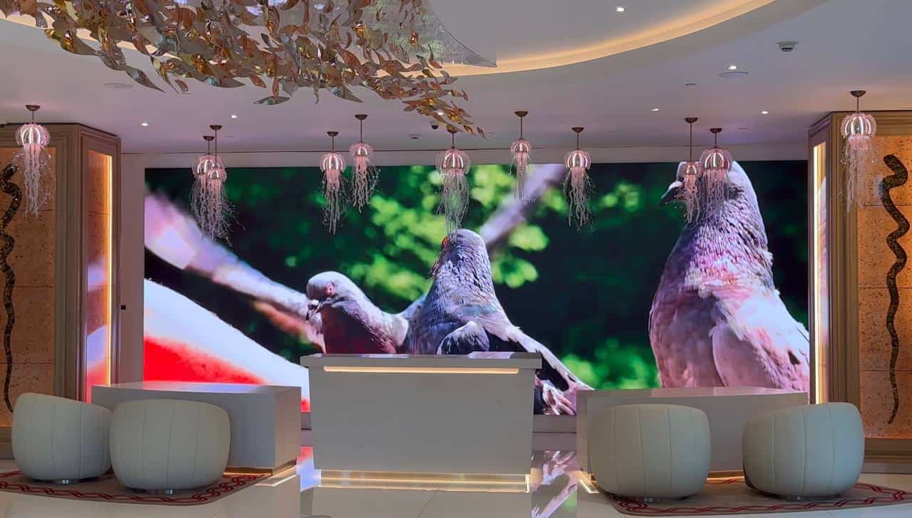 What content should you play on an LED wall? โ digital content for led walls โ dx series p1.9 cob led video wall displaying