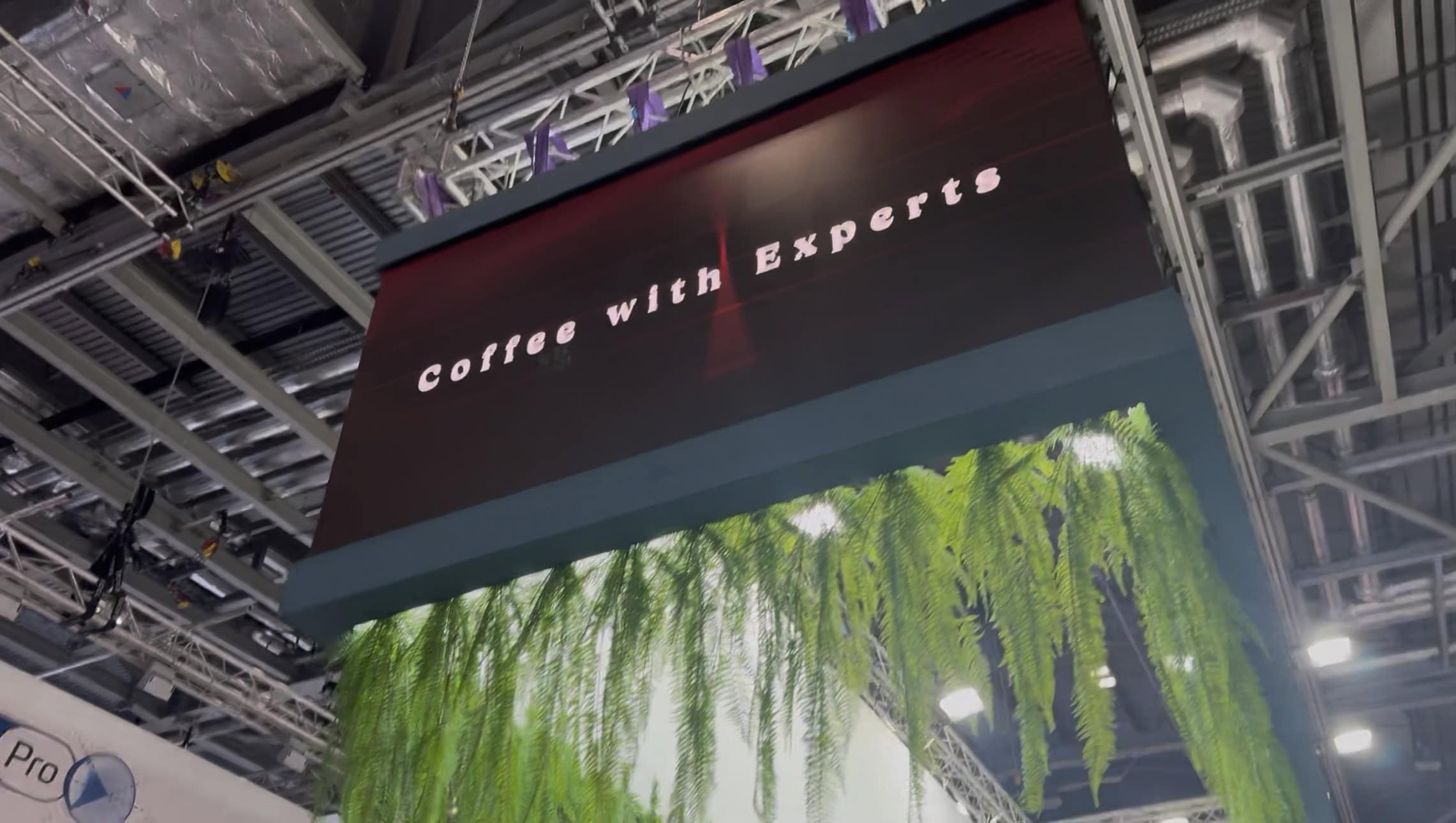 Looking up at the hanging LED banner from beneath the fern canopy, Coffee with Experts content, truss and rigging above